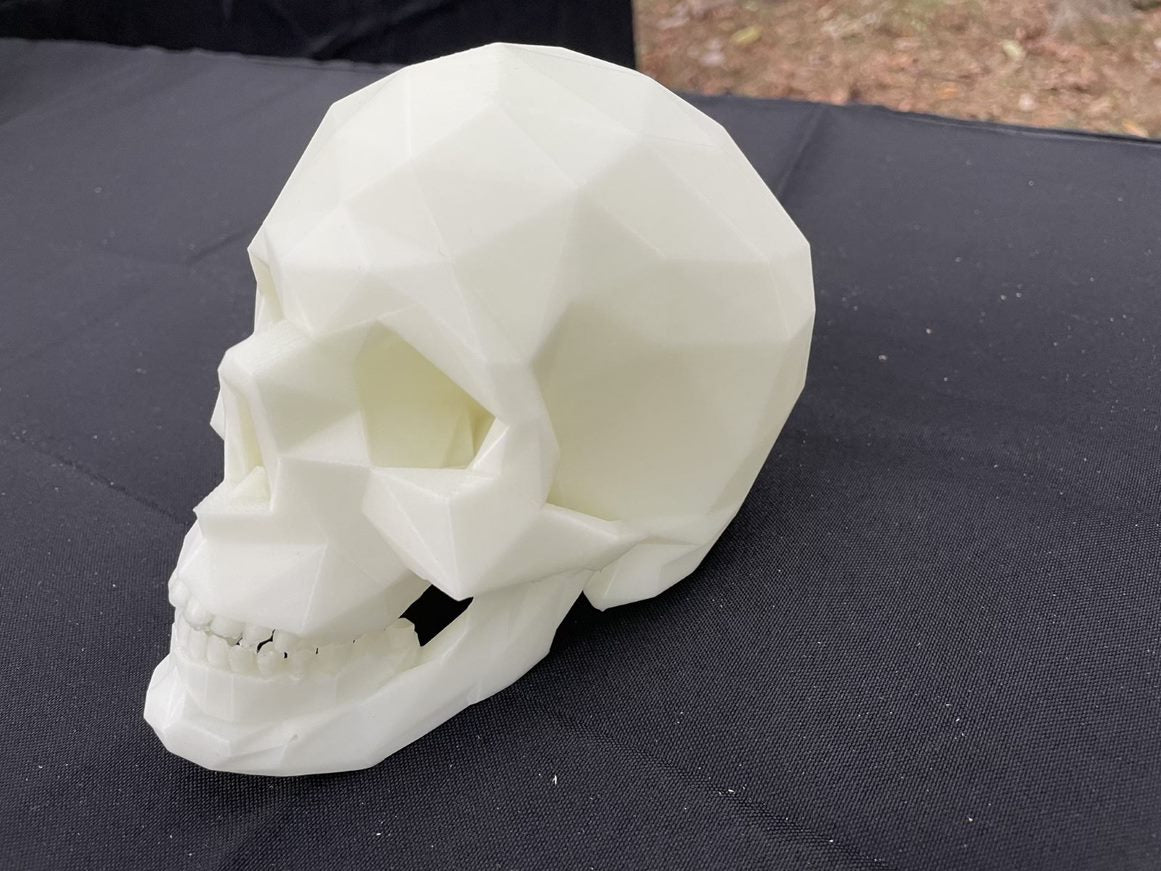 Low Poly Skull