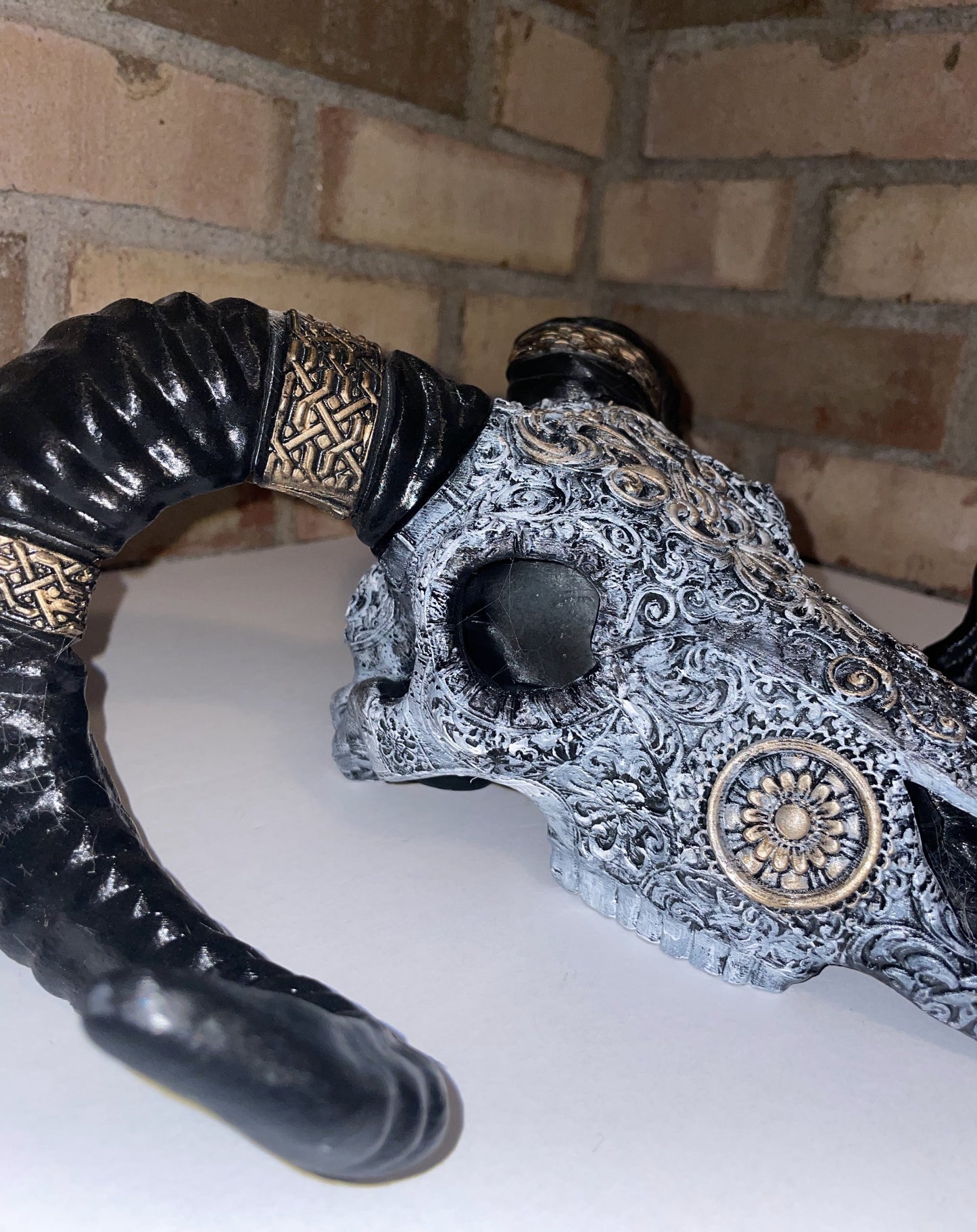 Sheep Skull, Painted