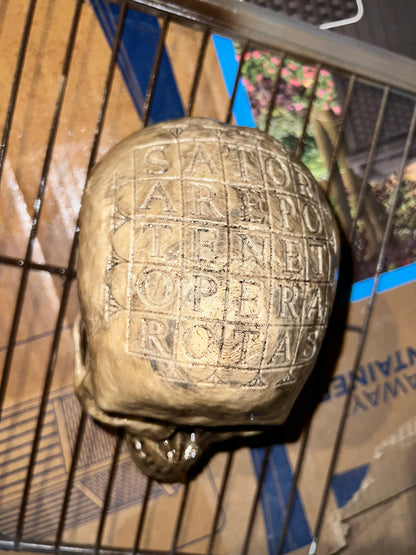 German Oath Skull, Weathered Bone