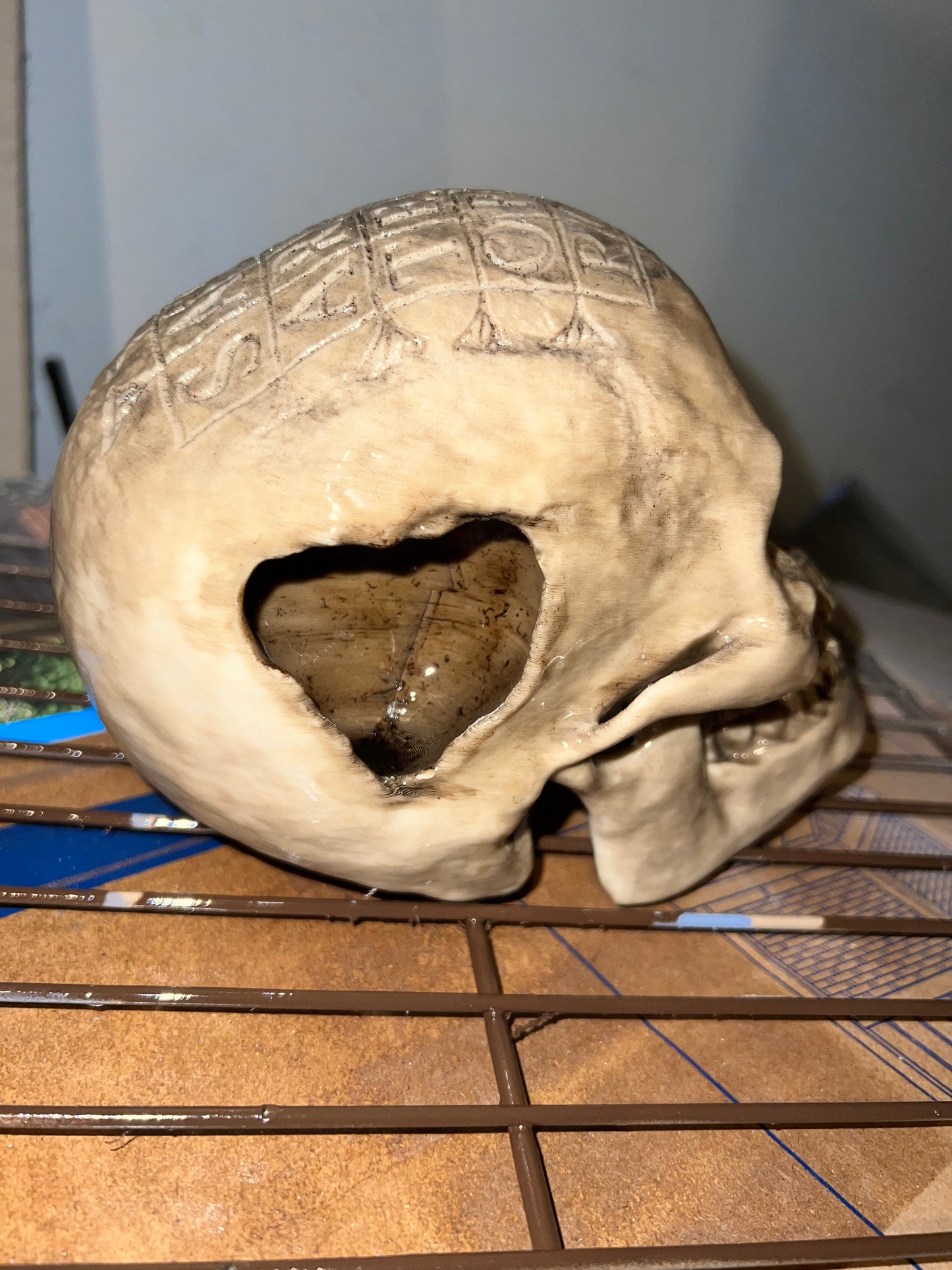 German Oath Skull, Weathered Bone